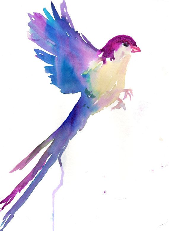 570x778 Watercolor Bird Print, Bird Taking Flight, Bird Painting, Bird - Flying Bird Watercolor
