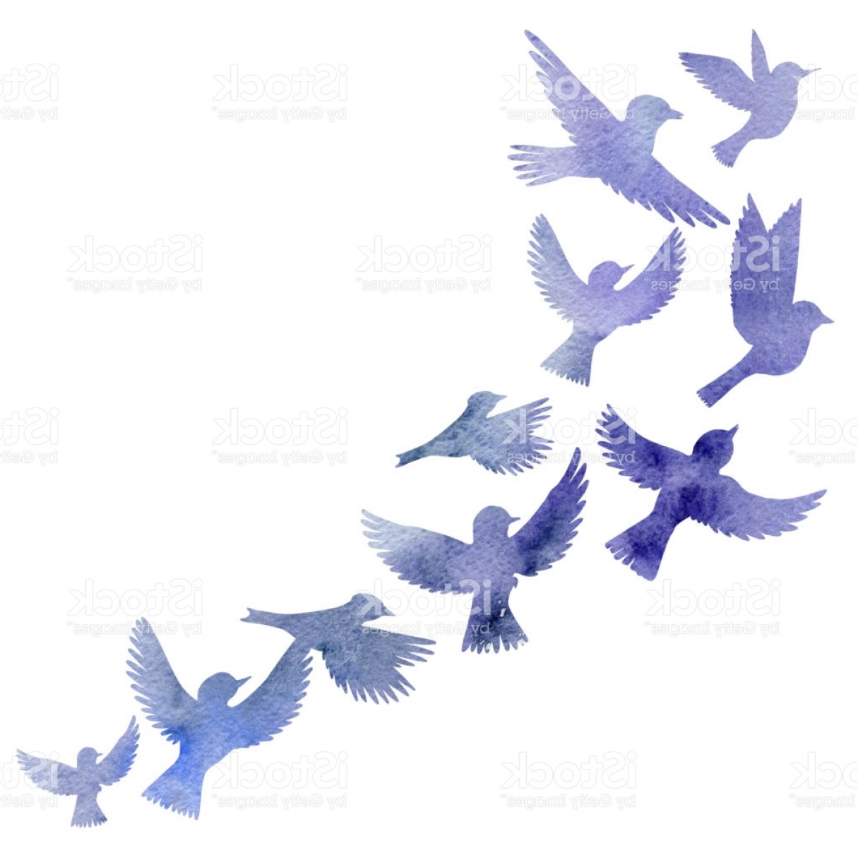 1215x1228 Watercolor Flying Birds Silhouettes Gm Createmepink - Flying Bird Watercolor