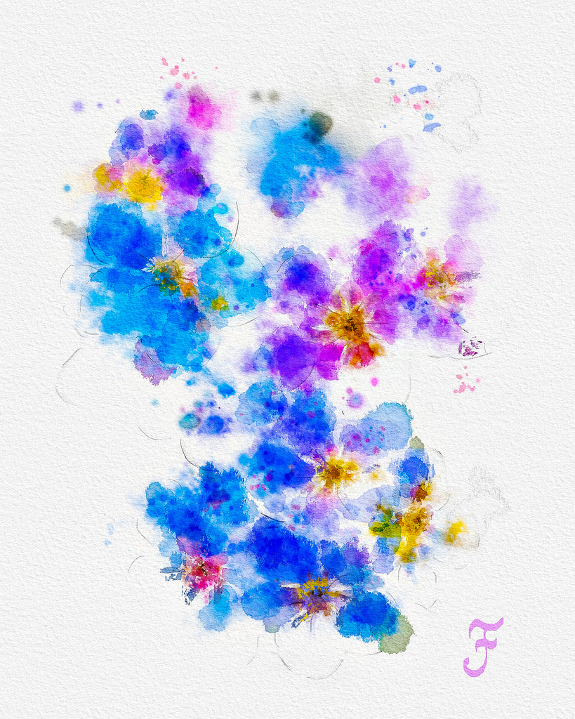 819x1024 Forget Me Not Watercolor Watercolor Painting Of A Cluster - Forget Me Not Watercolor