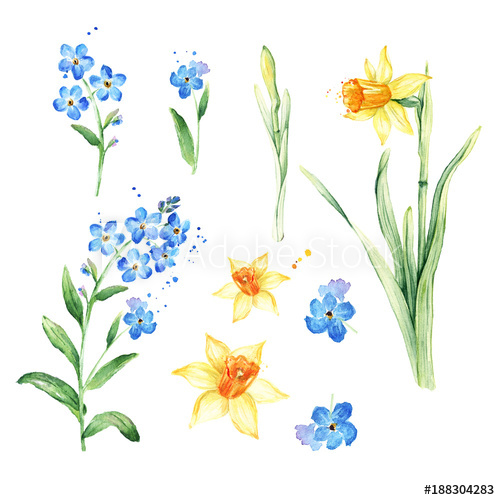 500x500 Watercolor Floral Set For Your Design. Watercolor Forget Me Not - Forget Me Not Watercolor