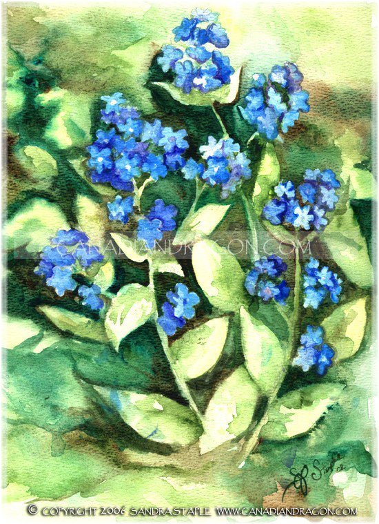 550x759 Canadian Dragon Fantasy Art Original Flower Watercolor Painting - Forget Me Not Watercolor