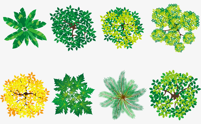 650x400 Watercolor Canopy Vector, Set, Four Seasons, Overlooking Png And - Four Seasons Watercolor