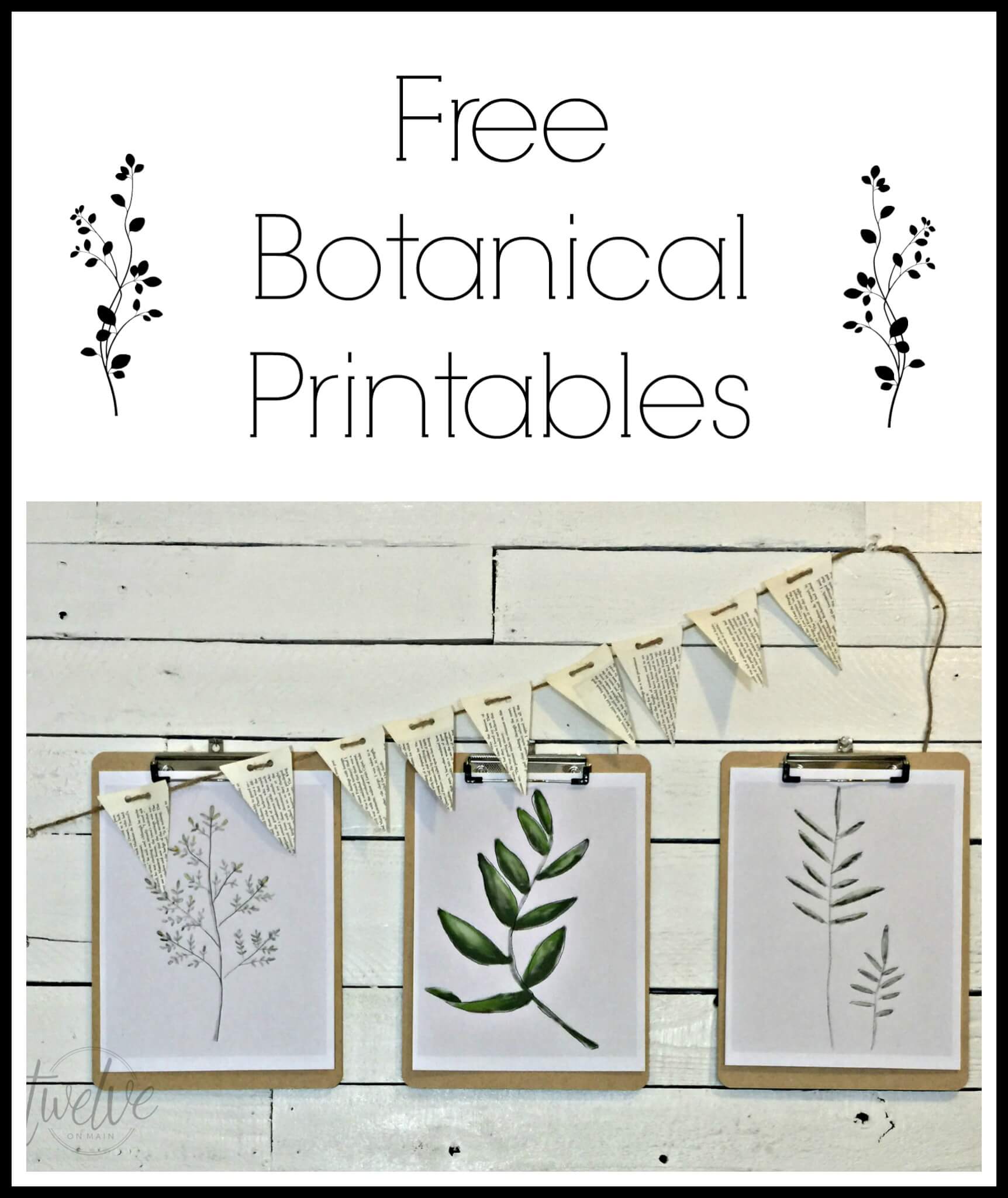 1724x2048 Free Watercolor Botanical Printables Free Printable Friday - Free Printable Watercolor