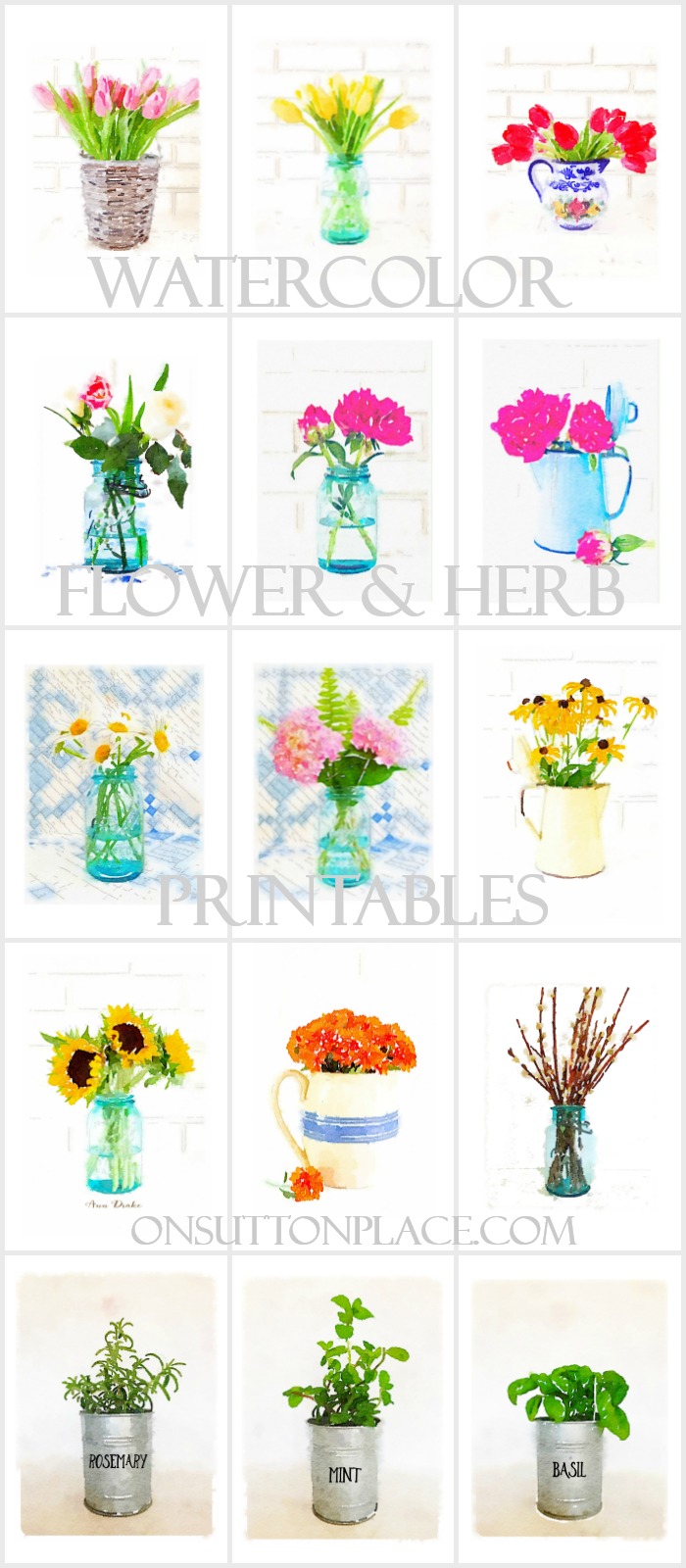 700x1600 Watercolor Printable Series Flowers Amp Herbs - Free Printable Watercolor