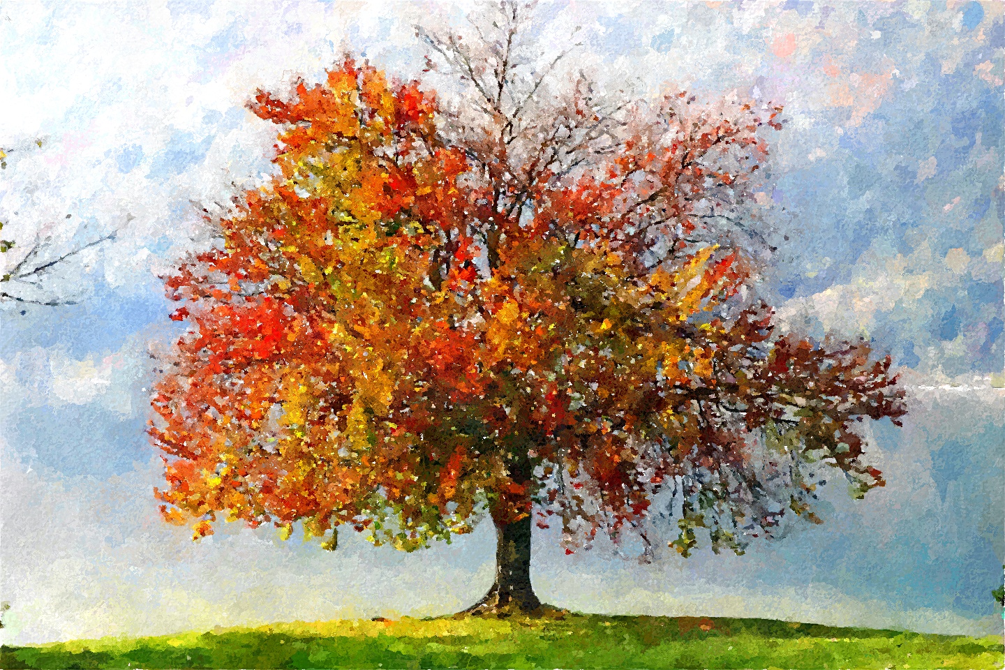 1440x960 Fotosketcher - Free Watercolor App