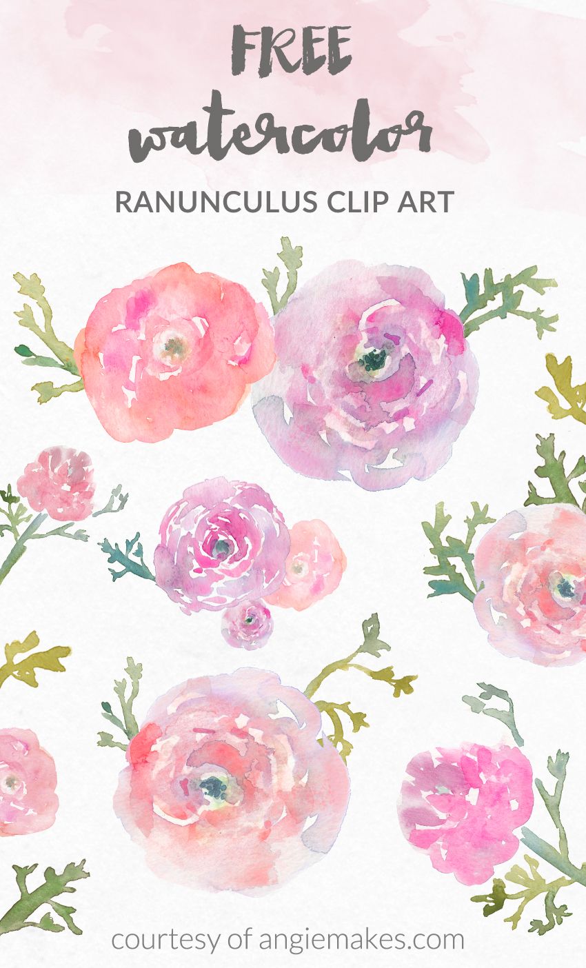 850x1404 Free Watercolor Flower Clip Art Graphic Freebies - Free Watercolor Art