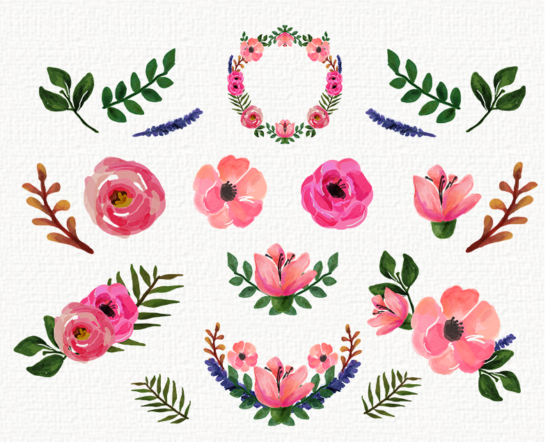 800x635 Freebies Watercolor Floral Clip Art Collection - Free Watercolor Art