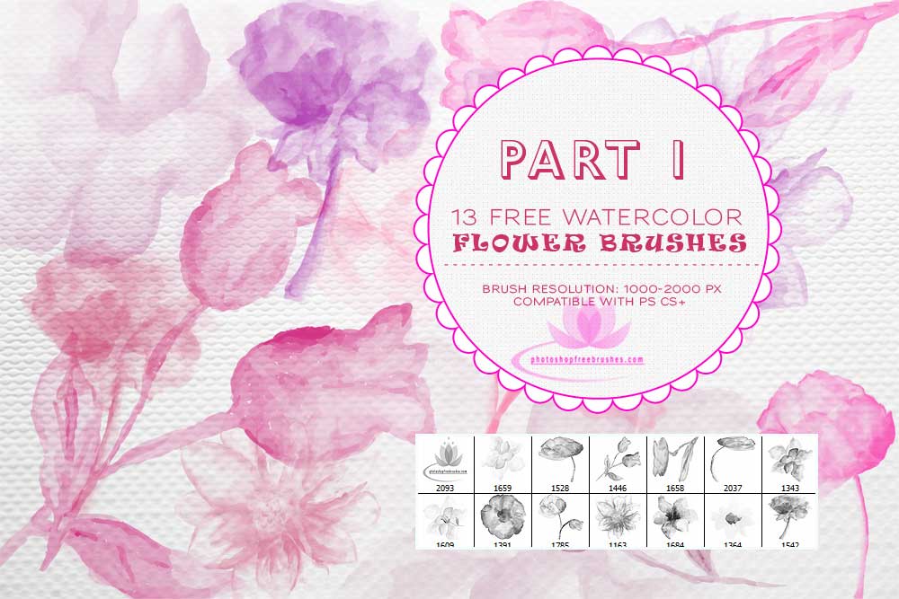 1000x667 13 Free Watercolor Flower Brushes For Photoshop By Fiftyfivepixels - Free Watercolor Brushes