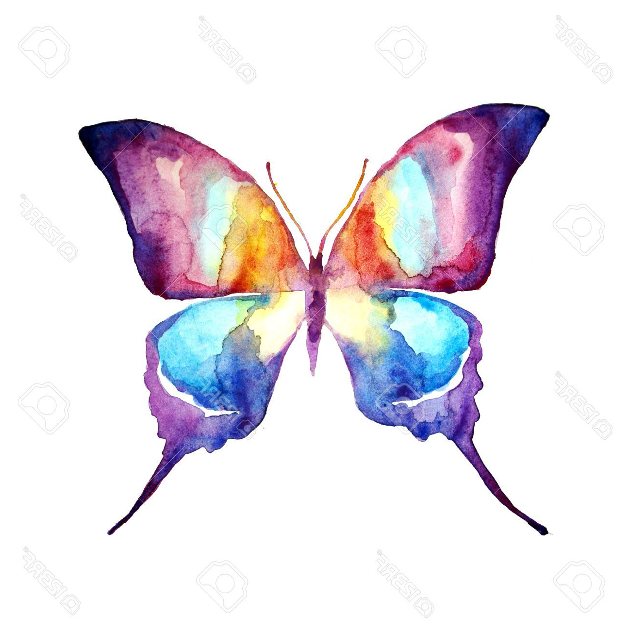 1300x1300 Watercolor Paintings Of Butterflies Butterfly,watercolor Design - Free Watercolor Designs