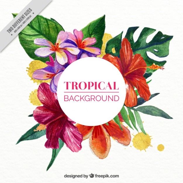 626x626 Tropical Flower Vector Free Download Tropical Flowers Background - Free Watercolor Effect