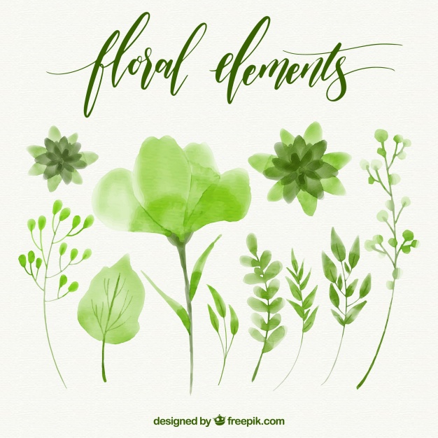 626x626 Set Of Floral Green Watercolor Elements Vector Free Download - Free Watercolor Elements
