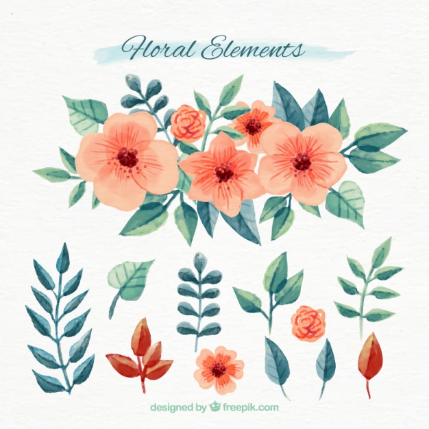 626x626 Set Of Floral Watercolor Elements Vector Free Download - Free Watercolor Elements