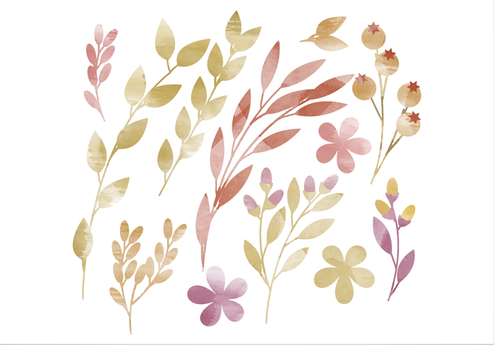 700x490 Vector Watercolor Floral Elements - Free Watercolor Elements