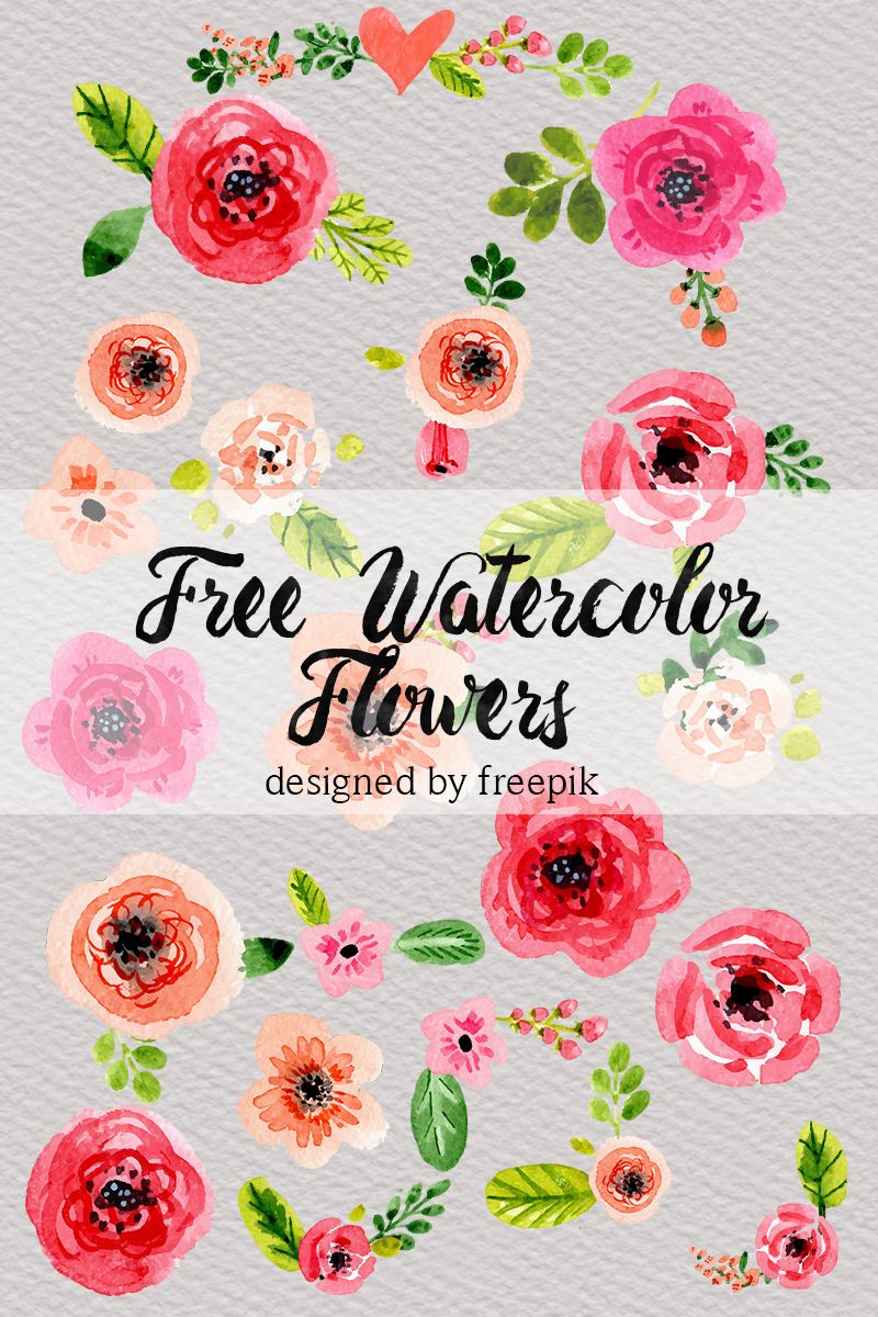 800x1200 Dlolleys Help Free Watercolor Flowers Clipart - Free Watercolor Floral