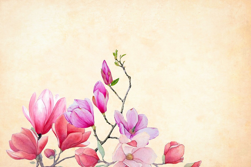 960x638 Free Photo Border Floral Background Watercolor Flower - Free Watercolor Floral Background
