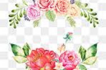 343x228 Watercolor Flower Photo Free - Free Watercolor Flower Border