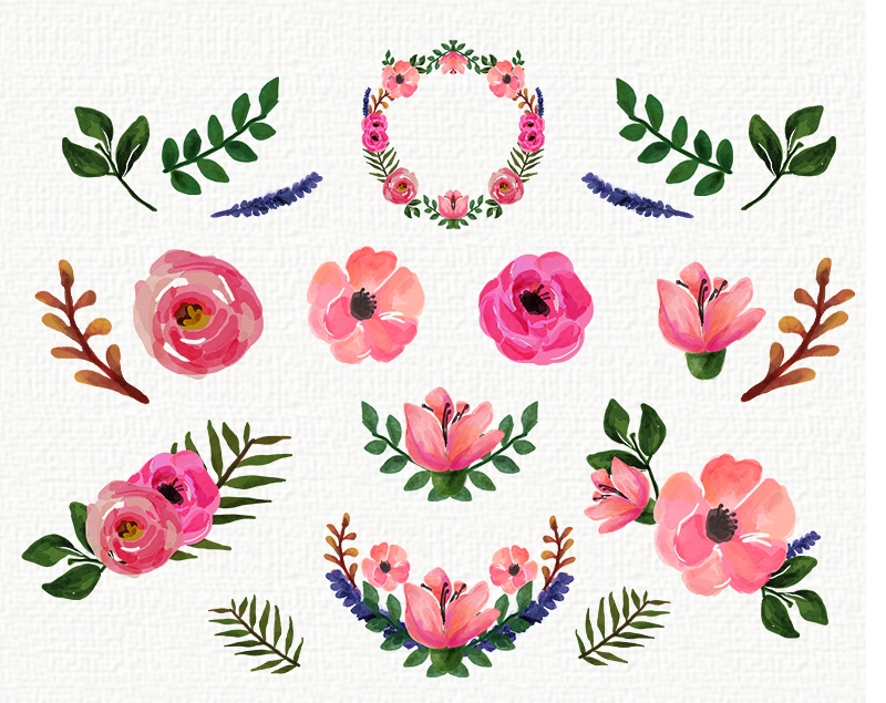 800x635 Free Watercolor Floral Clipart - Free Watercolor Flower Clipart