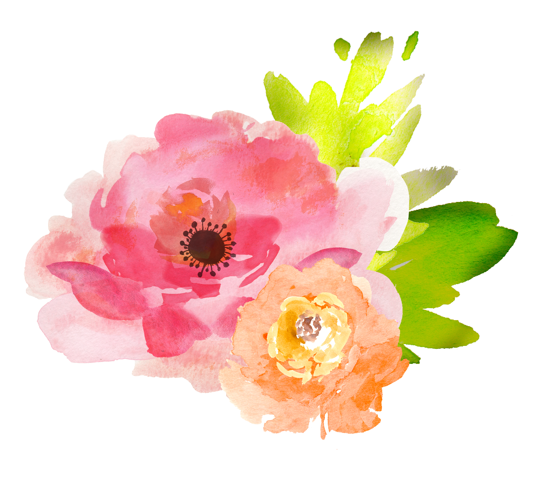 Free Watercolor Flower Clipart At Paintingvalley Com Explore