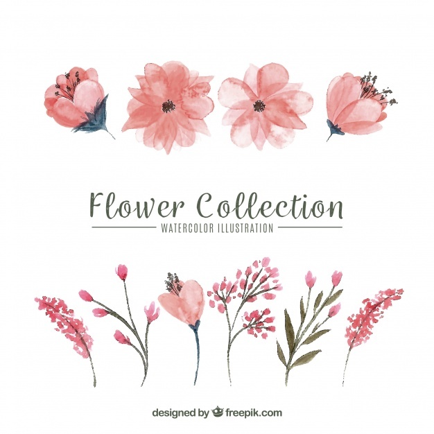 626x626 Watercolor Flowers Vectors, Photos And Psd Files Free Download - Free Watercolor Flower Clipart