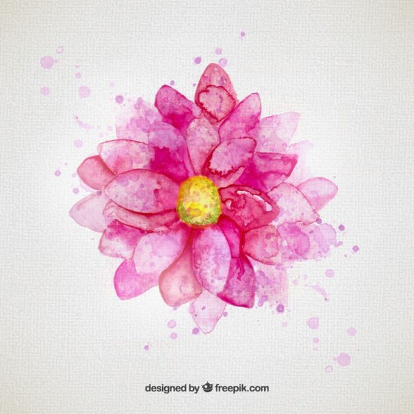 600x600 Watercolor Flower In Pink Tone Free Vector 123freevectors - Free Watercolor Flower Vector