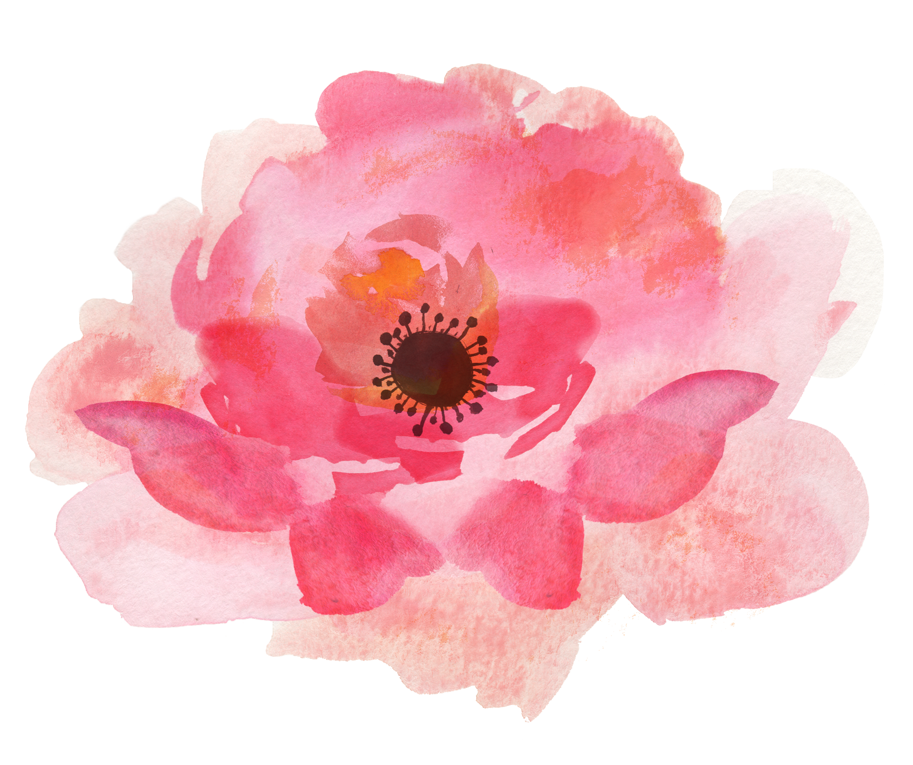 1848x1548 15 Free Watercolor Flowers Png For Free Download On Mbtskoudsalg - Free Watercolor Flowers