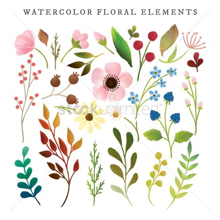 450x450 Free Watercolor Flowers Stock Vectors Stockunlimited - Free Watercolor Flowers