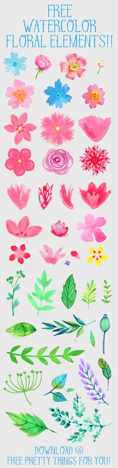 236x930 212 Best Graphic Freebies Images Free Watercolor - Free Watercolor Flowers
