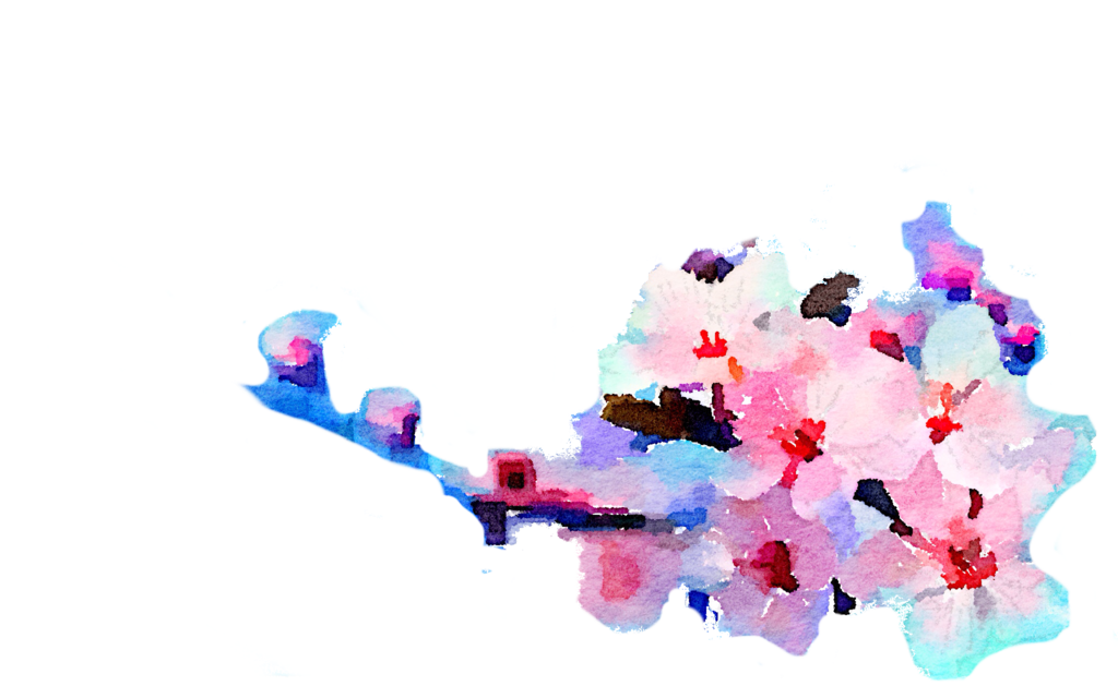 Free Watercolor Flowers Png