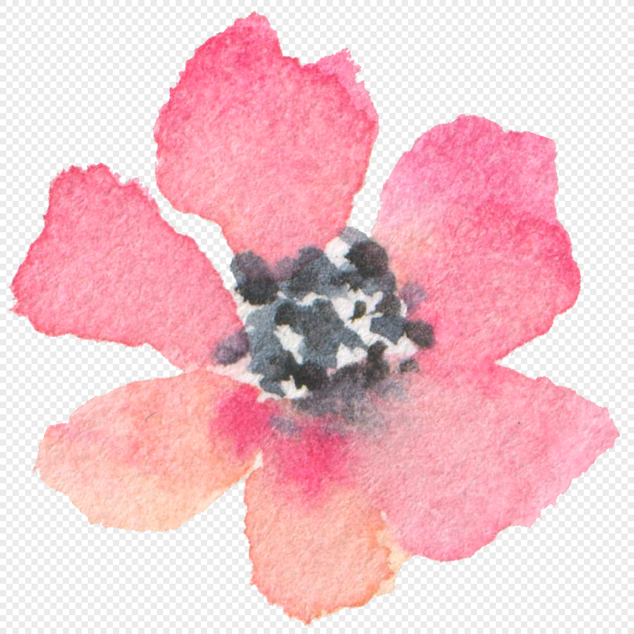 2020x2020 Watercolor Flower Png Image Picture Free Download - Free Watercolor Flowers Png
