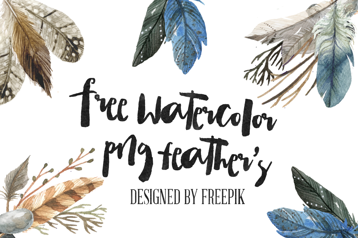 1160x772 Dlolleys Help Free Watercolor Png Feathers - Free Watercolor Png