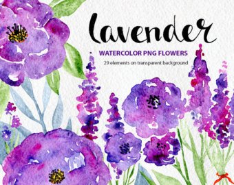 340x270 Watercolor Floral Clipart Purple Red Pink Flowers Aquarelle Etsy - Free Watercolor Png