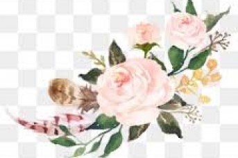 343x228 Watercolor Flower Png Free - Free Watercolor Png