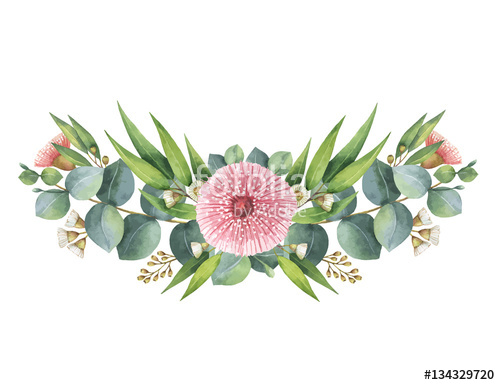 500x385 Watercolor Vector Wreath With Green Eucalyptus Leaves And Branches - Free Watercolor Vector