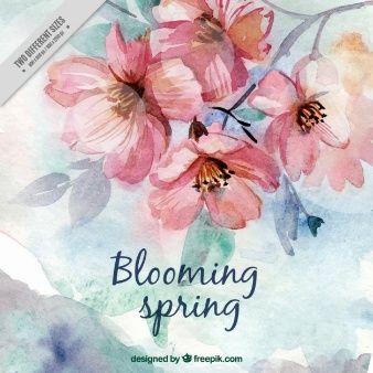 338x338 Site Called Watercolor Cute Spring Flowers Graphics - Freepik Watercolor