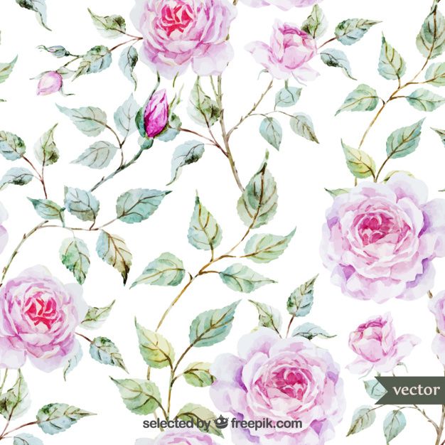 626x626 Watercolor Roses. Download Thousands Of Free Vectors On Freepik - Freepik Watercolor