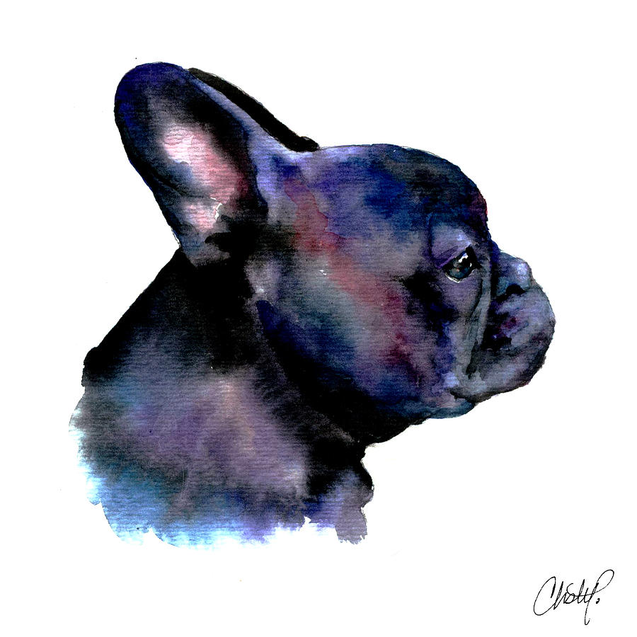 900x900 French Bulldog Portrait Painting By Christy Freeman - French Bulldog Watercolor