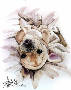 236x302 French Bulldog Puppy Cute Amp Innocent - French Bulldog Watercolor