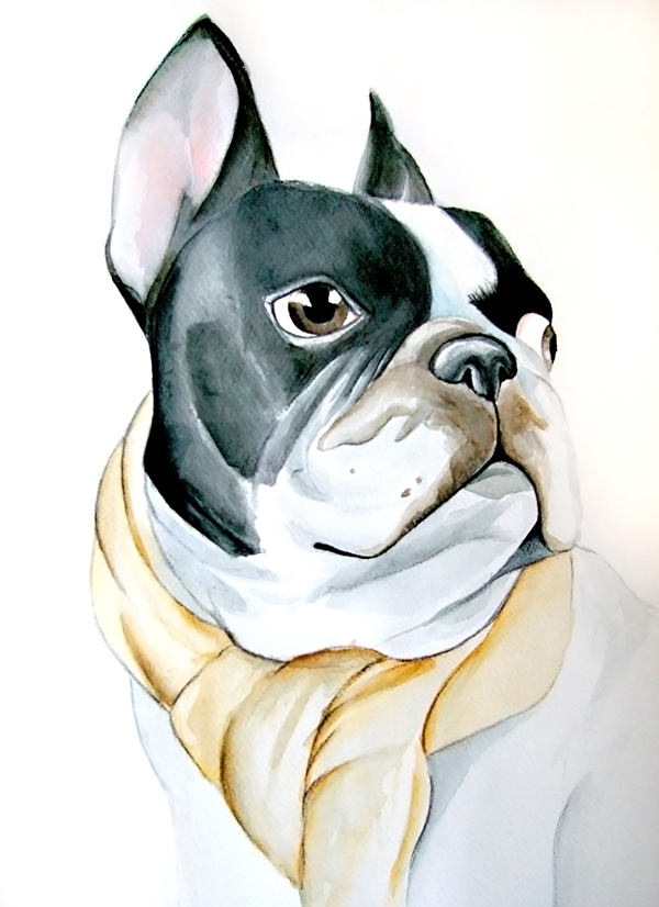 600x826 French Bulldog Watercolor On Behance - French Bulldog Watercolor