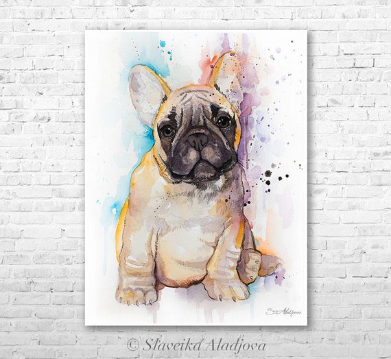 570x524 Fawn French Bulldog Watercolor Painting Print By Slaveika Etsy - French Bulldog Watercolor