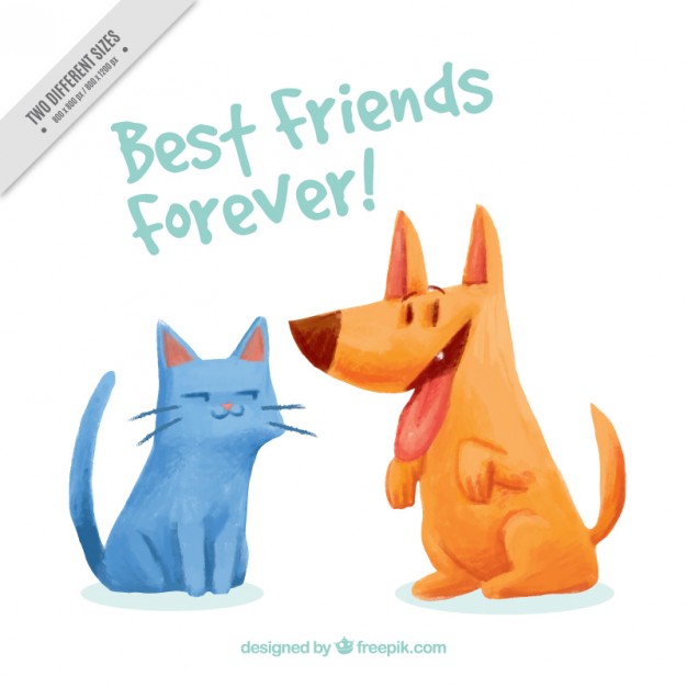 626x626 Watercolor Pets Friendship Background Vector Free Download - Friends Watercolor