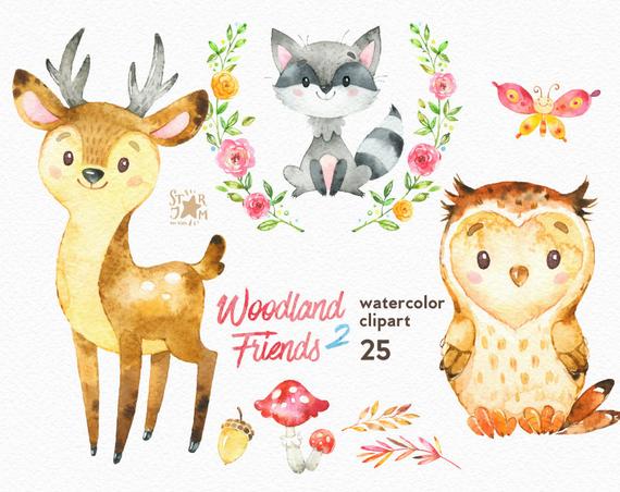 570x452 Woodland Friends 2. Watercolor Animals Clipart Forest Deer Etsy - Friends Watercolor