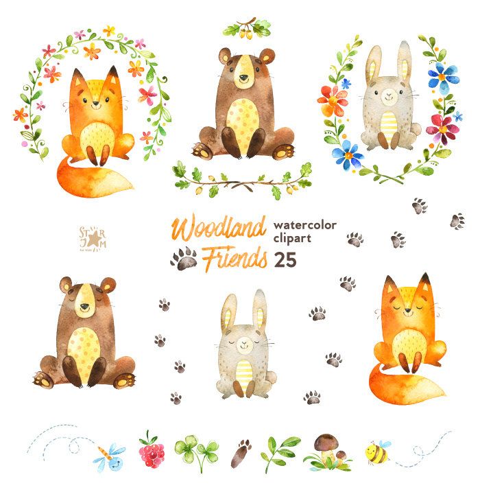 700x717 Woodland Friends. Watercolor Animals Clipart, Forest, Bear, Fox - Friends Watercolor