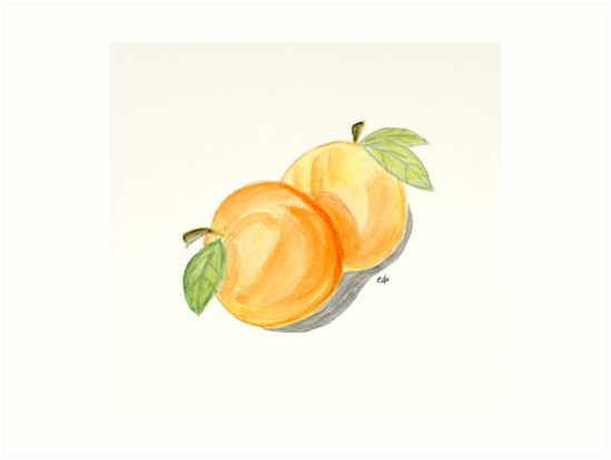 549x413 Orange Apricots. Painting Art Print Flower Art Print From - Fruit Watercolor Painting