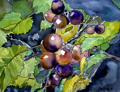 400x308 Still Life Watercolor And Oil Paintings - Fruit Watercolor Painting