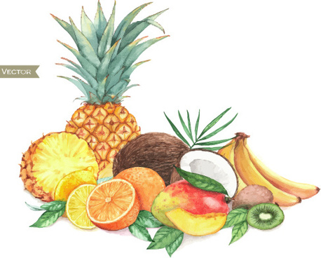 458x368 Vector Fruit Watercolor Painting Free Vector Download (8,199 Free - Fruit Watercolor Painting
