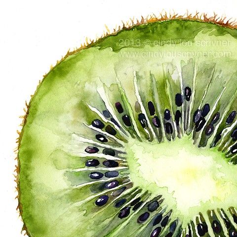 480x480 Fruit Watercolor - Fruit Watercolor Painting