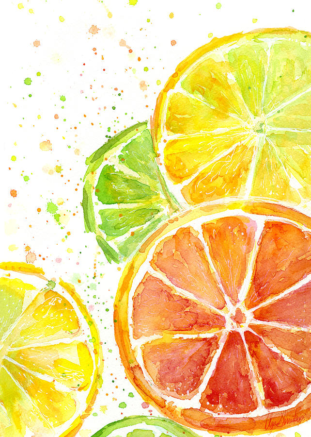 642x900 Citrus Fruit Watercolor Painting By Olga Shvartsur - Fruit Watercolor Painting