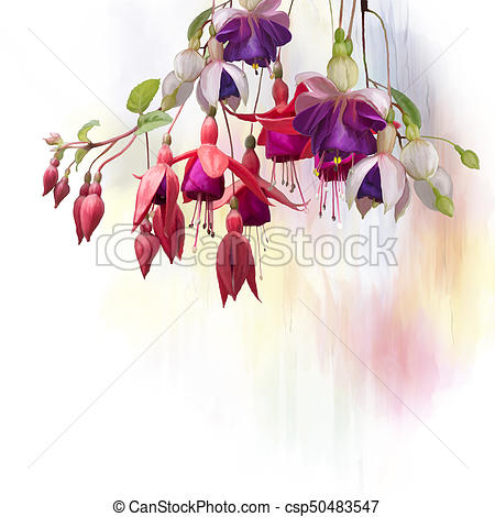 450x470 Fuchsia Flowers Watercolor. Digital Painting Of Purple And Red - Fuchsia Watercolor