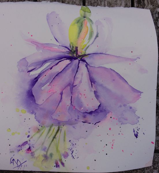 551x600 Fuchsia Watercolour Sketch - Fuchsia Watercolor
