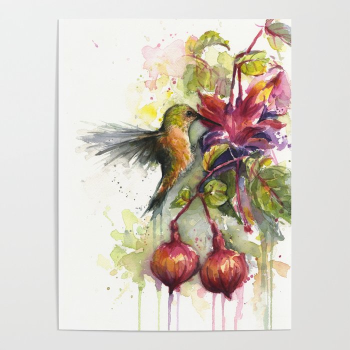 700x700 Hummingbird And Fuchsia Watercolor Poster By Olechka Society6 - Fuchsia Watercolor